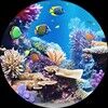 oceanbloomz